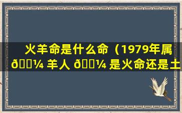 火羊命是什么命（1979年属 🐼 羊人 🐼 是火命还是土命）